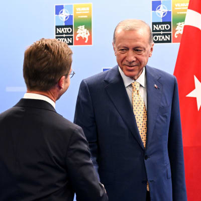 Ruotsin pääministeri Ulf Kristersson ja  Turkin presidentti Recep Tayyip Erdogan kättelevät.