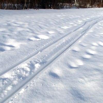 Ett skidspår