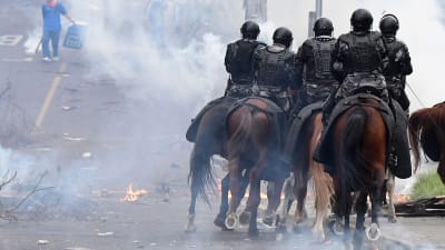 Tårgas, demonstranter och ridande poliser i huvudstaden Quito den 8 oktober 2019.