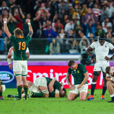 Sydafrikanska spelare jublar och engelska spelare deppar efter VM-finalen i rugby 2019.