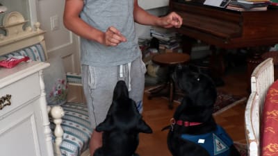 En ung man står och håller upp två hundgodisar. Under händerna sitter två svarta hundar och stirrar på godisbitarna.