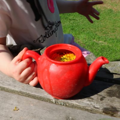 En röd leksaksvattenkanna med vatten och maskrosor i. En barnhand håller i kannan.
