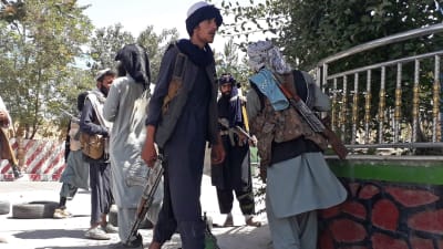 Talibanen, person med gevär. 