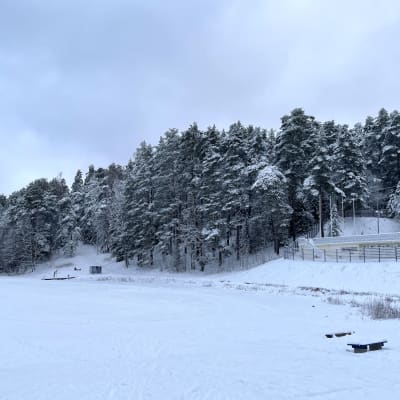 Talvinen Ahvenistonjärvi. Taustalla harjun puita peittää lumi.
