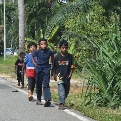 Bild på fyra barn som går vid väggrenen på en asfalterad väg. Bredvid växer gröna växter.