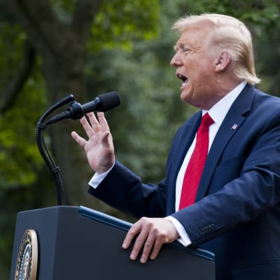 President Donald Trump står och talar vid ett podium. Han gestikulerar vilt och har röd slips.