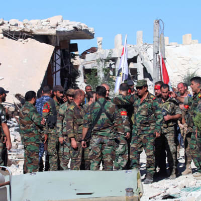 Krigare i Aleppo