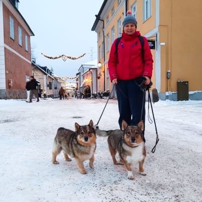 En kvinna och två hundar på Rådhustorget i Borgå.