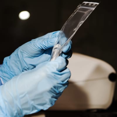 En sjukvårdsanställds händer i blå plasthandskar håller i ett test.