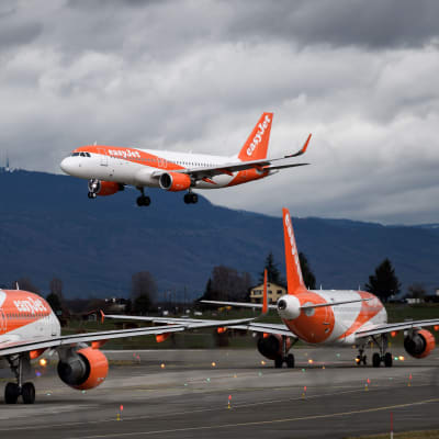 Två orange Easyjet-flygplan på landningsbanan och ett i luften. 