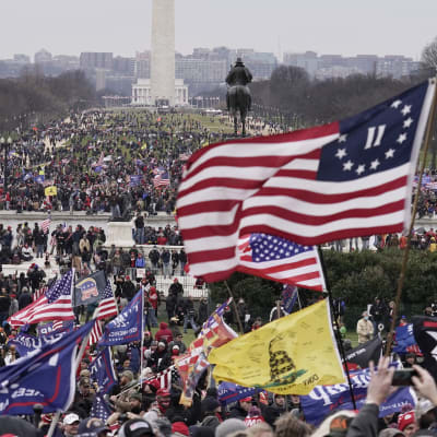 Ett folkhav av människor utanför Capitolium i USA som viftar med Trumpflaggor och USA:s flagga.