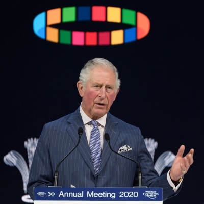 Prins Charles i Davos-talarstolen