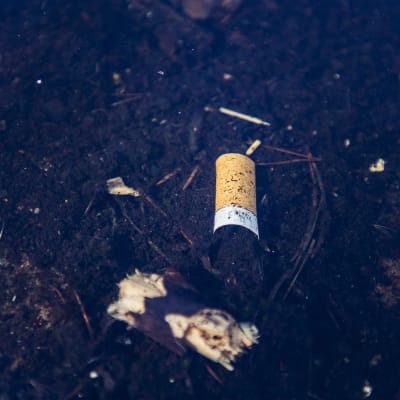 Kuvassa on luontoon hylätty tupakantumppi.