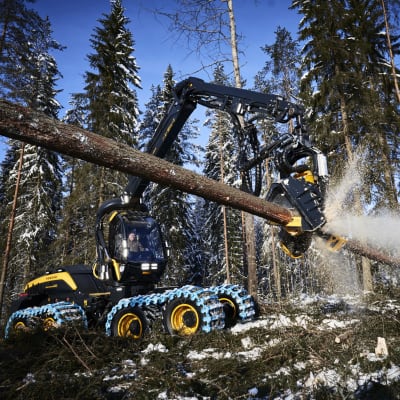 Ponssen harvesteri kaataa metsää