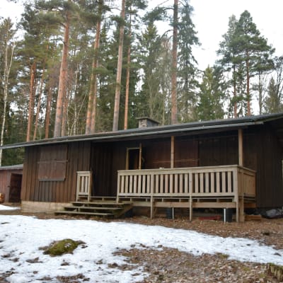 Stuga i trä med veranda och trappa. Stugan är är omringad av tallar.