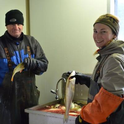Marie Kellgren håller i en fisk framför diskhon, likaså Viking Kellgren.