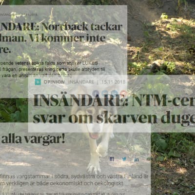 En bild av en varg bakom, urklipp ur insändare framför.