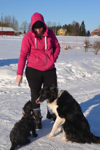 maria kalenius på sin gård med två svarta hundar en snöig dag