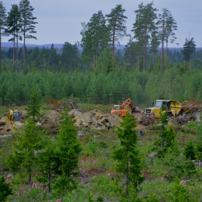 En vid bild av skog där några grävmaskiner och en dumper syns.