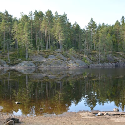 Helt åt skogen i Tykö