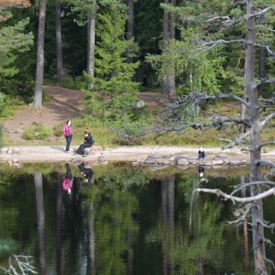 Helt åt skogen i Tykö