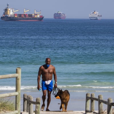 En man går med en hund på en strand. I bakgrunden syns flera containerfartyg.