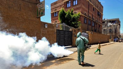 En medlem av den statliga jemenitiska insatsstyrkan mot virusspridningen sprutar desinfektionsmedel på en gata i huvudstaden Sanaa. 
