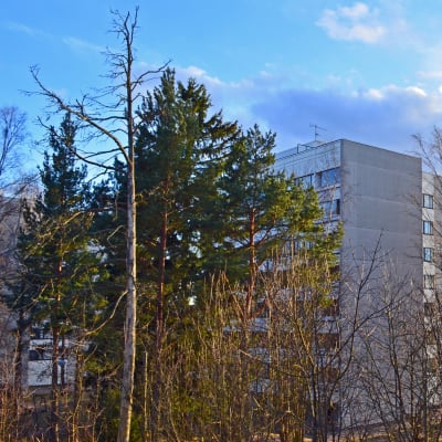 Ett höghus i Nordsjö i solnedgången.
