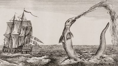Ett stort, gammalt segelfartyg med stor korsflagga seglar förbi ett långsmalt sjöodjur. Ur boken The great Sea Serpent av Christian Jochum Pontoppidan (1739-1807).