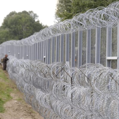 Taggtrådsstängsel mellan Ungern och Serbien.