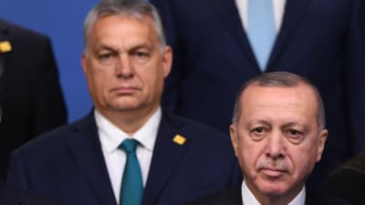 USA:s president Donald Trump tillsammans med Ungerns premiärminister och turkiets president Recep Tayyip Erdogan