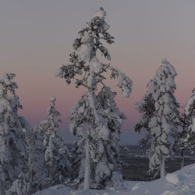 Arkivbild. Sodankylä den 30 december 2018.