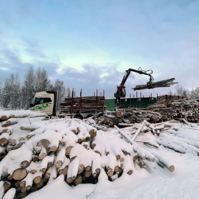 Puutavara-auto nostaa puita kuormasta pinoon, etualalla näkyy lisää lumen peittämiä kuitupuupinoja.