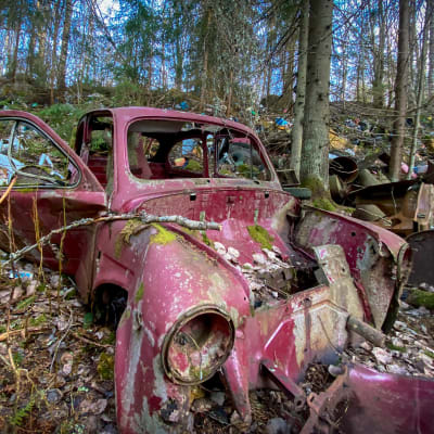 Punertavan värinen, rikkinäinen autonromu, joka lojuu muiden jätteiden seassa metsässä. Auto on osittain sammaloitunut ja siitä on irrotettu osia.