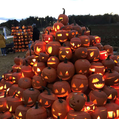 Kurpitsapuisto Halikossa 12.10.2021