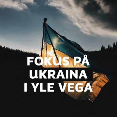 Dramatiskt belyst Ukrainas flagga mot en mörk skogsbakgrund med texten fokus på Ukraina i Yle Vega