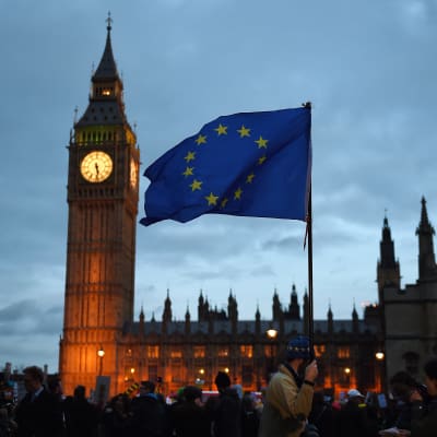 Protest utanför det brittiska parlamentet mot brexit.