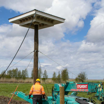 Liminganlahden luontokeskuksen alueelle rakennettu räystäspääskyjen pesimätorni.