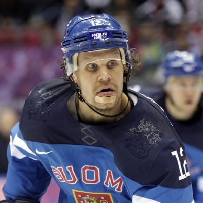 Leijonat