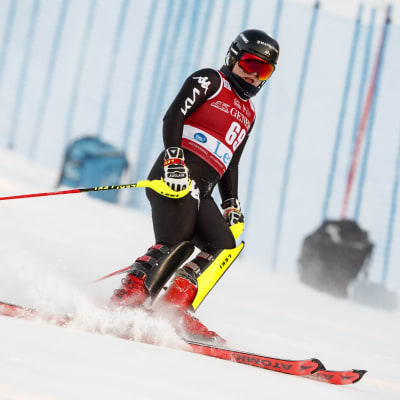 Rosa Pohjalainen åker skidor i Levi.