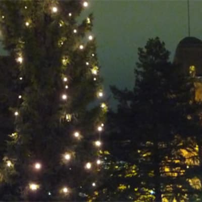 Joensuun kaupungintalo ja joulukuusi.