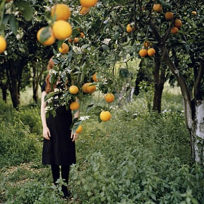 Osa Vuoden nuoren taiteilijan Anni Leppälän teoksesta Orange tree.
