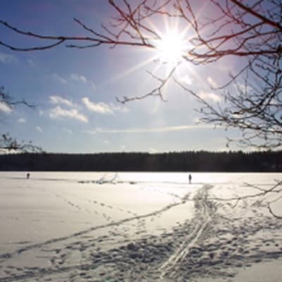 Aurinkoinen järvimaisema talvella.