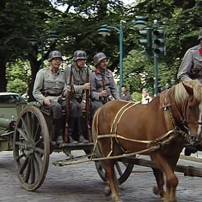 Hevosvaunut