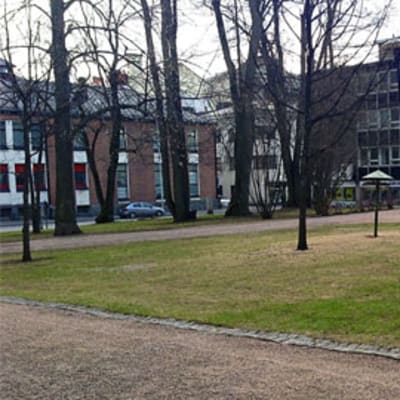Kuvassa puisto