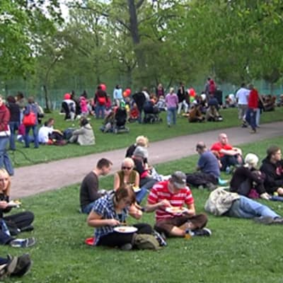 people sitting in park