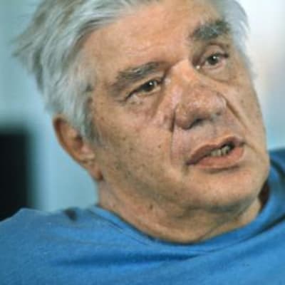 veikko lavi