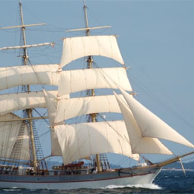 Priki Tre Kronor on tulossa Turun Tall Ships' Races 2009 -purjelaivatapahtumaaan.