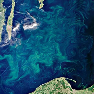 Itämeren levämatto ESA:n Envisat-satelliittin ottamassa kuvassa