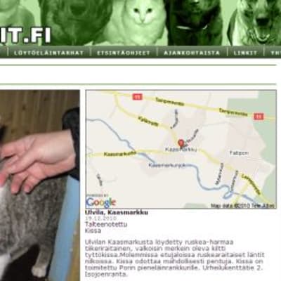 Tietoa kadonneesta kissasta voi löytää myös karkurit.fi-sivustosta.